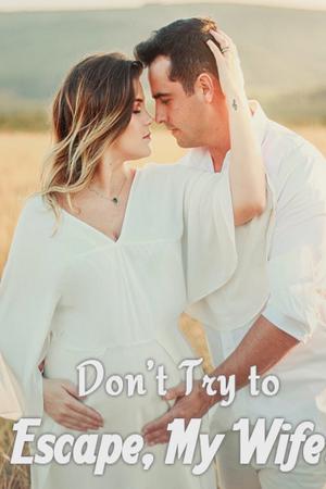 Don T Try To Escape My Wife Novel Read Don T Try To Escape My Wife Online For Free Novel