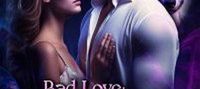 Bad Love an Alpha’s Regret by Elise Sinclair